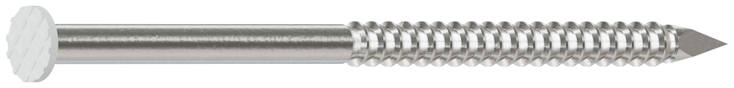 Simpson Strong-Tie S5SNDW1 Painted Siding Nail — 1-3/4 in. x .083 in. Type 304 Stainless Steel, White (1 lb.)