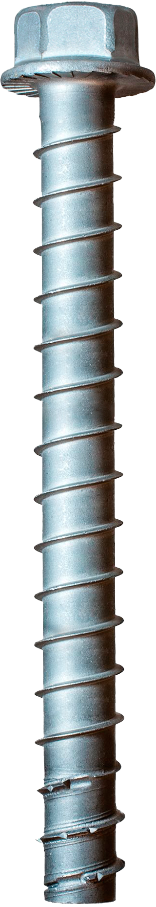 Simpson Strong-Tie THD50600H6SS Titen HD® 1/2 in. x 6 in. Type 316 Stainless-Steel Heavy-Duty Screw Anchor (20-Qty) (Pack of 4)