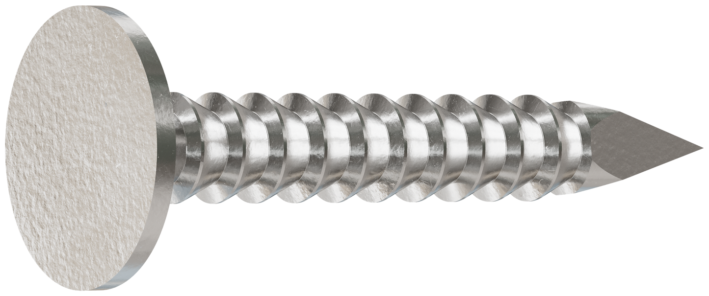 Simpson Strong-Tie S210ARN1 Roofing Nail, Annular Ring Shank — 1-in. x .131-in. Type 304 Stainless Steel (1 lb.) (Pack of 10)